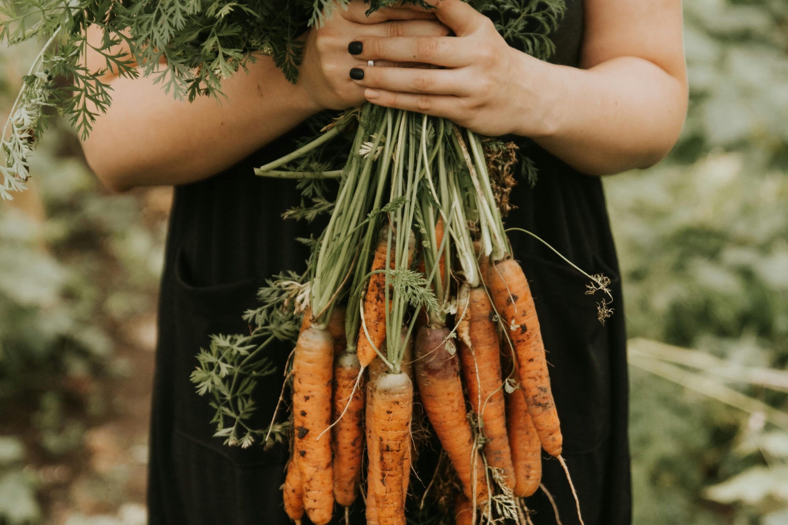 Organic Farming Benefits