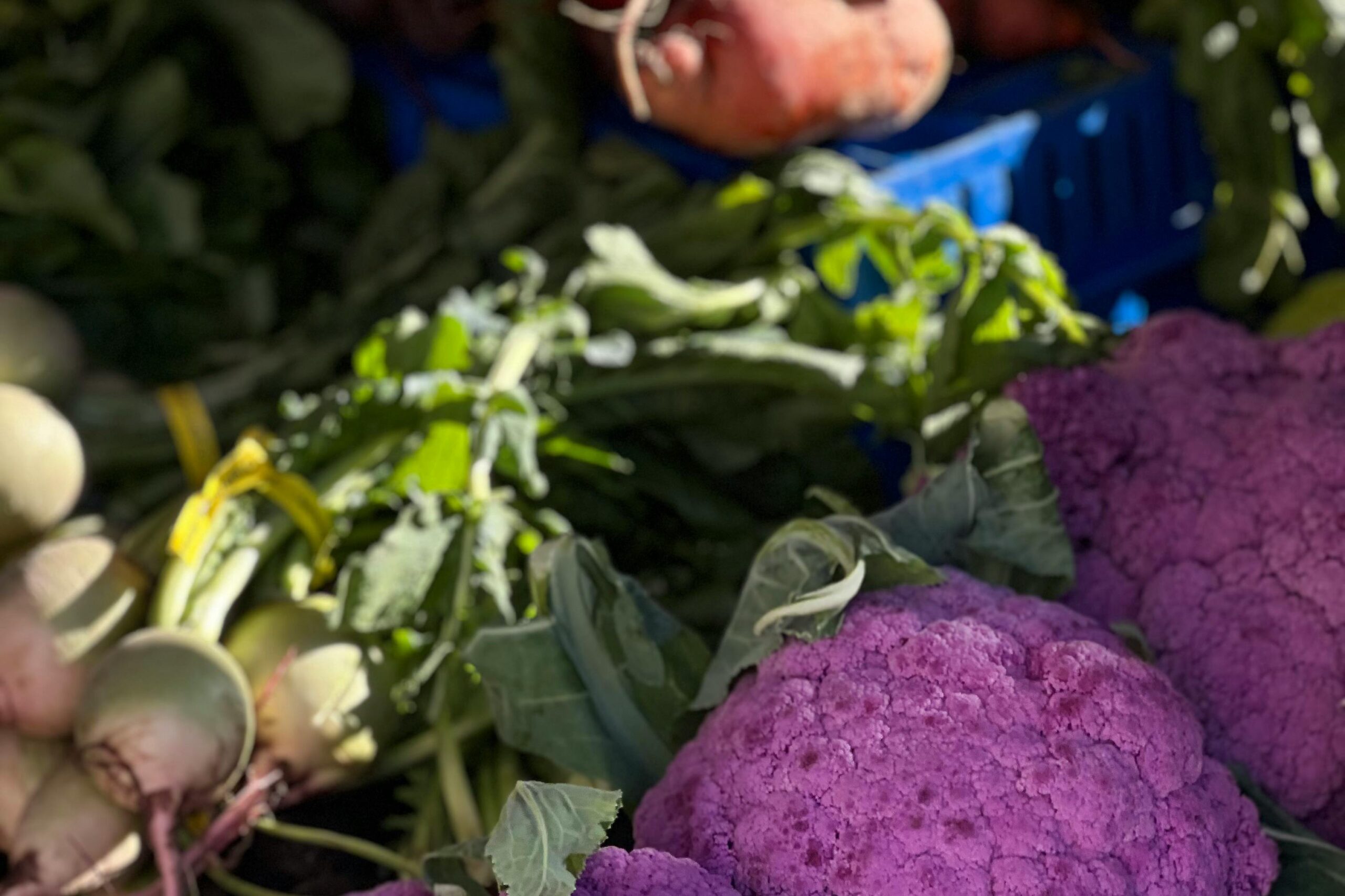 Seasonal Vegetable Guide – A Guide to the Best Vegetables to Grow in Each Season for Optimal Harvest